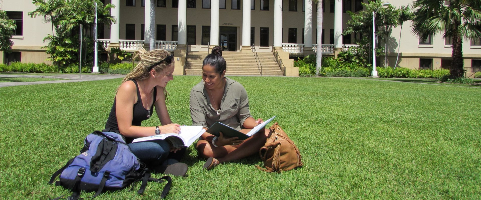 What is the Most Popular Major at the University of Hawaii?