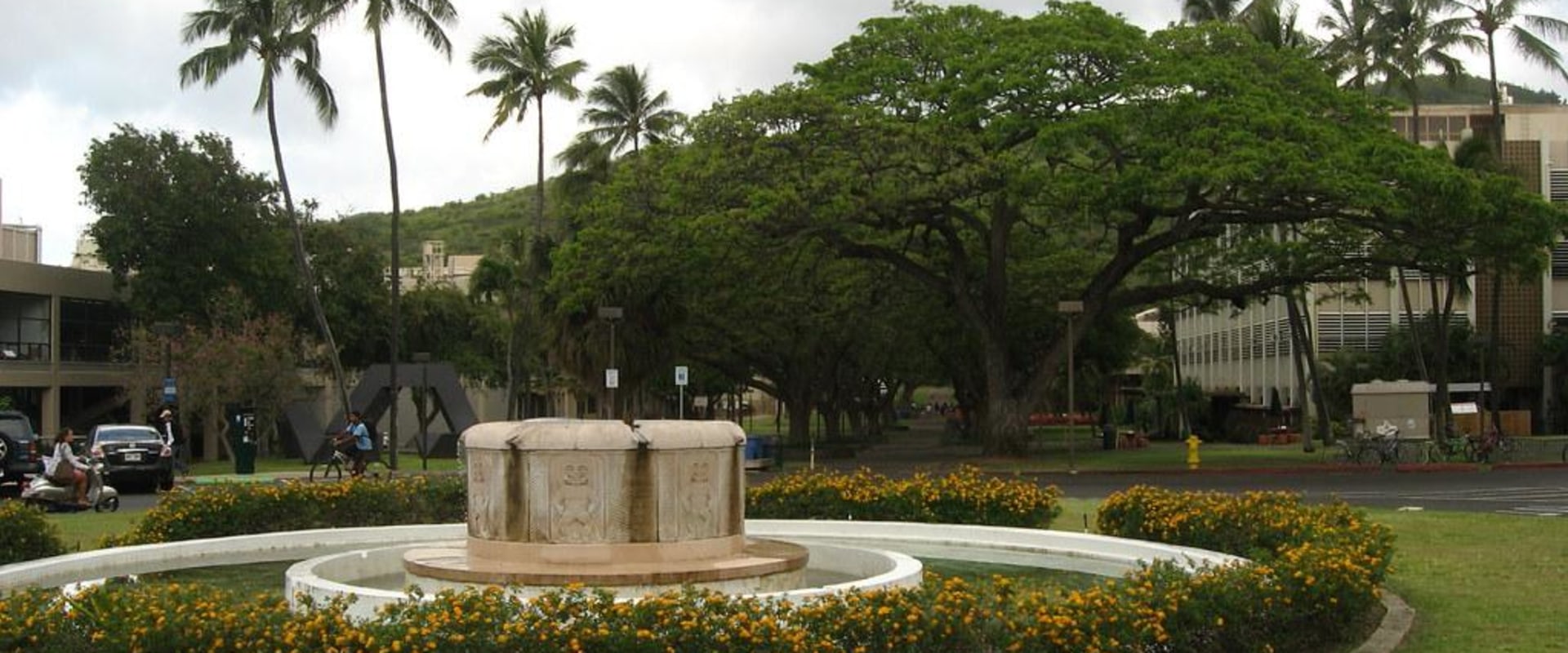 What is the Cost of Attending the University of Hawaii at Manoa?