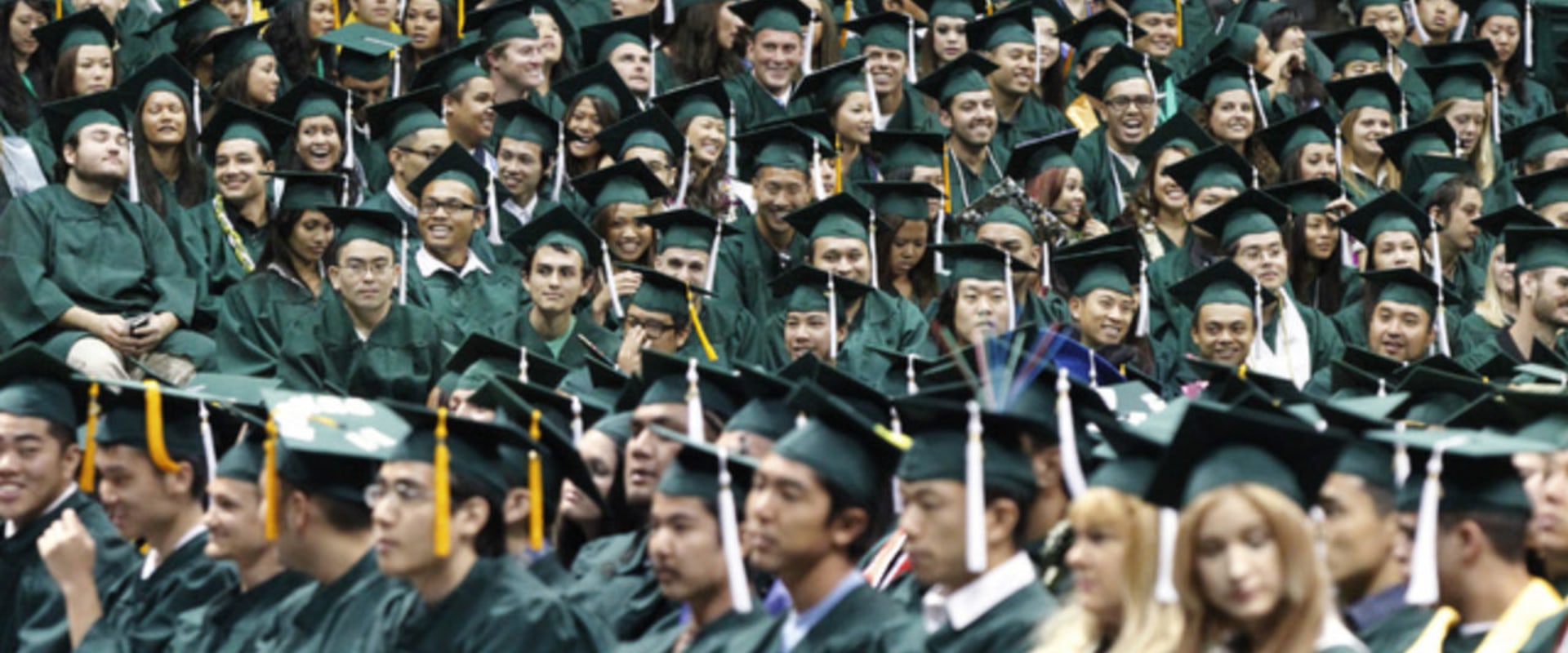 What is the Student to Faculty Ratio at the University of Hawaii?