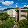 Does the University of Hawaii Provide Special Programs and Services for Disabled Students?