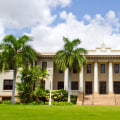 How Many Undergraduate Students Attend the University of Hawaii at Manoa?